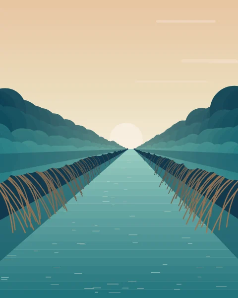 A still channel runs between banks of mangrove toward a low sun, roots arching down into the water.