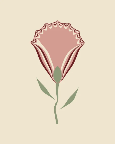 A carnation with a fringed, striped crown of ox-blood, rose and cream above a green calyx and stem.