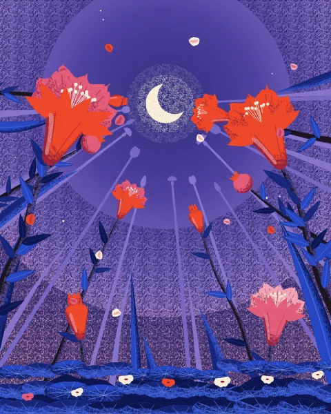 Giant pomegranate blossoms, buds and a young fruit on slender dark stems, seen from below against a dusk sky, with a thin crescent showing through the gap at the top.