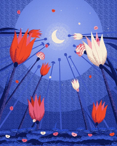 Slender Ottoman tulips with long needle-pointed petals lean in under a cobalt night sky, with a crescent at the centre.