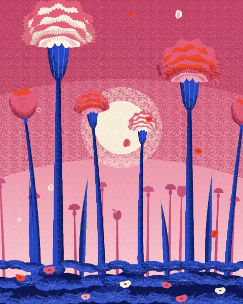 Cream and tomato carnations on tall stems stand against a rose-pink sky, with the sun low between them.