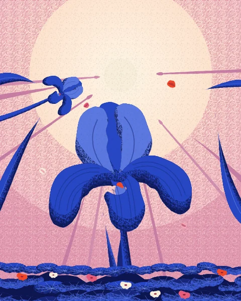 A single giant bearded iris rises into a dawn sky, its three falls hanging over the stem and its standards cupped above.