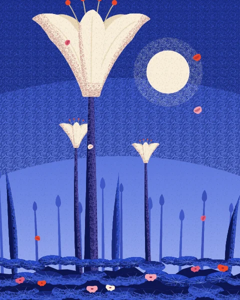 One tall white lily stands over a carpet of round leaves against a deep cobalt sky, with a pale moon behind it.