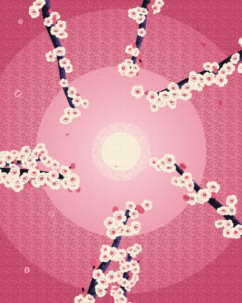 Looking straight up through branches of cream almond blossom that cross a rose-pink sky towards a soft sun.