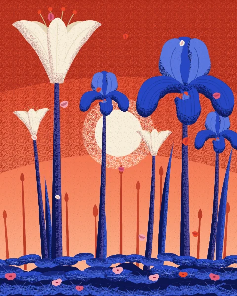 White lilies and blue irises stand tall against a tomato-red sky with a cream sun low between them.
