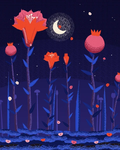 Pomegranate blossoms and fruit stand on slender dark stems against a night sky, with a crescent and stars above the leaves.