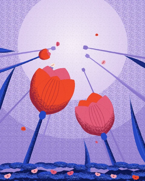 Two giant tulips, one red and one pink, lean towards each other across a lilac sky without touching.