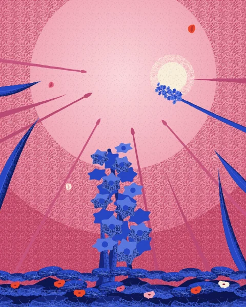 A single giant blue hyacinth rises into a rose-pink sky, its spike of small bells seen from below.