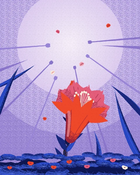 A single giant pomegranate blossom on a slender dark stem leans into a lilac sky, with its waxy red crown and cream stamens.
