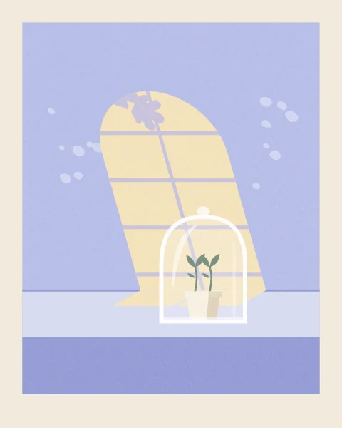 On a pale table a glass bell jar covers a seedling in a small pot, standing in a round-arched patch of sun with fig-leaf shadows on the lavender-blue wall.