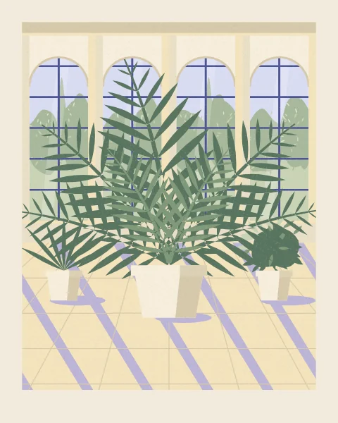 Inside an orangery, a tall date palm in a cream pot stands on the sunlit floor between two small potted plants, in front of round-arched windows with the garden beyond. The shadows of the roof ribs slant across the floor.