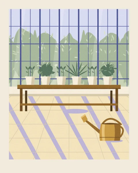 A wooden potting bench in a glasshouse holds a row of seedlings and small plants in cream pots, with a brass watering can on the floor and the shadows of the roof falling across everything.