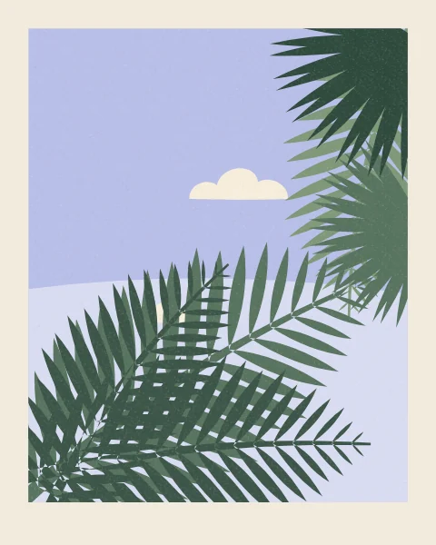 Long date-palm fronds and two fan-palm leaves reach in from both sides against a pale summer sky with a few small clouds.