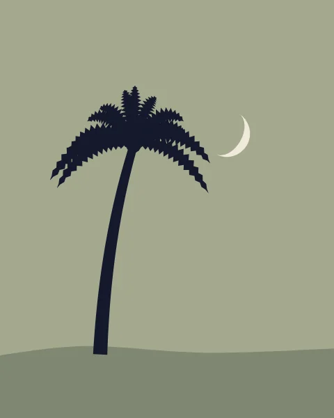 A single leaning palm on a sage ground, a pale crescent caught beside its crown.