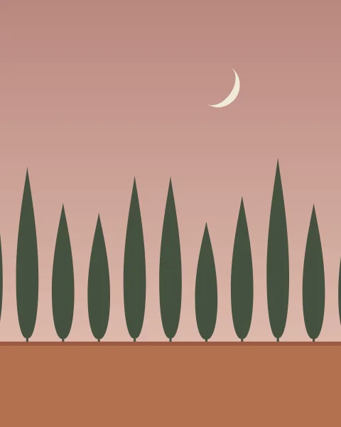 A row of tall cypresses against a dusk-rose sky, a pale crescent among their tips.