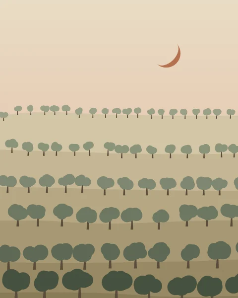 Rounded olive trees in rows on sandy hills, a clay crescent in the evening sky.