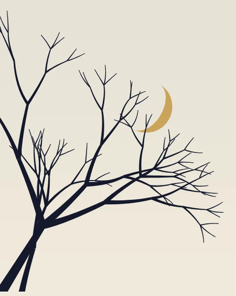 The bare branches of a winter tree reach across a pale sky, a gold crescent caught among them.