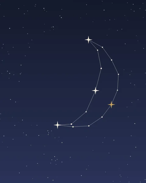 A crescent traced by stars joined with fine lines, like a figure on a star chart.