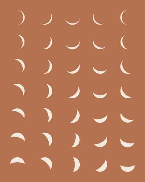 Rows of bone crescents on clay, each turning a little further and growing a little fuller.
