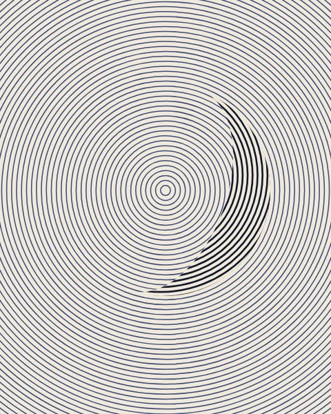 Fine concentric rings fill the sheet, and a crescent appears where a second set of rings crosses them.
