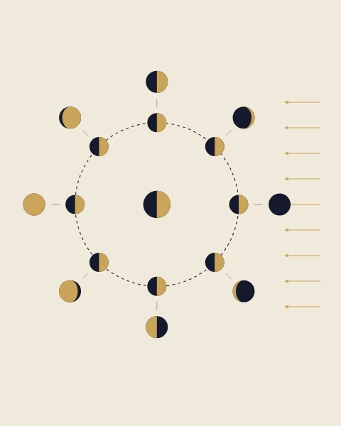 A diagram of the moon circling Earth in sunlight, with each position's phase shown in an outer ring.