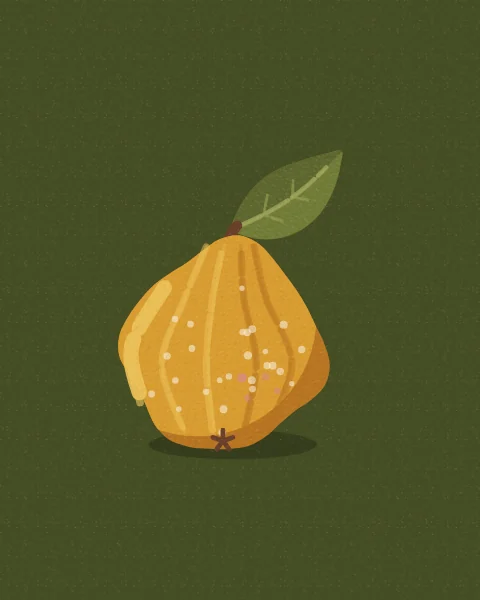 One golden quince with its downy skin and a single leaf, set large on deep olive; taller shapes add a golden pear and a second quince.