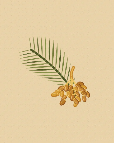 A bunch of golden dates hanging below a green palm frond, set large on an oatmeal ground; taller shapes add a bunch of ripe red dates and a second frond.