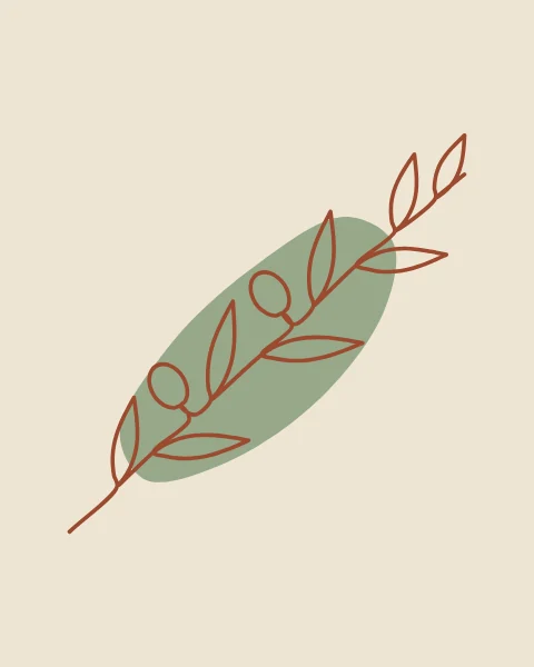 A slender olive branch with narrow leaves and ripe olives, drawn in terracotta across a sage leaf shape.