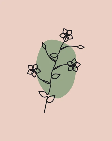 A sprig of jasmine with star-shaped flowers, buds and leaves, drawn in one line over a sage form.