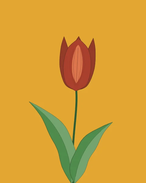 One tall red tulip with fine veins and two wavy leaves, rising from the lower edge of a saffron ground.