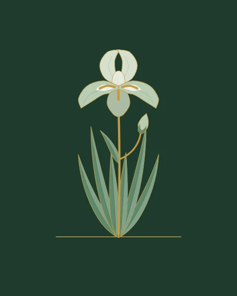 An iris plant drawn in fine gold lines over shades of deep green, standing on a single gold ground line.