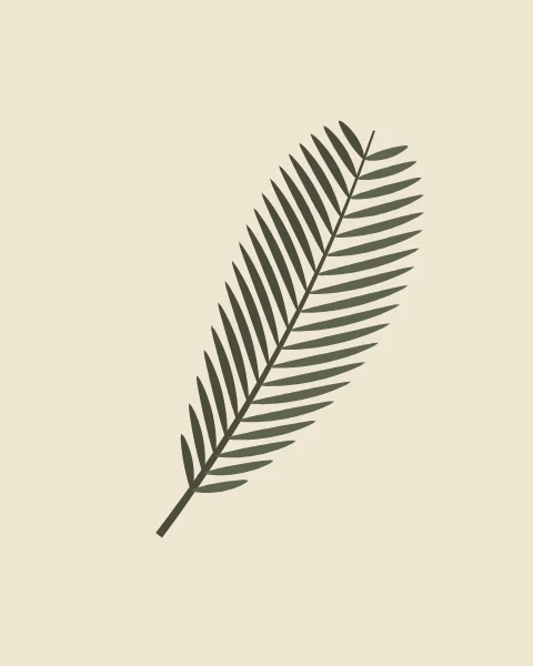 A single date palm frond in deep moss green crosses a pale ground on the diagonal, its narrow leaflets swept forward along the stem.