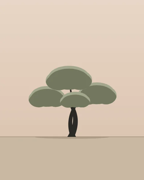 An olive tree with a twisted double trunk that forks into a crown of rounded clumps, silvered on top and deeper green beneath, stands on a pale rose ground against a warm blush sky.