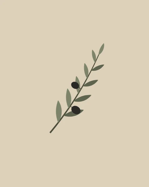 A single olive sprig crosses an oat ground on the diagonal, with narrow leaves in two greens set alternately along the stem and two dark olives hanging on short stalks.