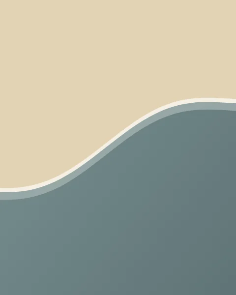 Seen from above, pale sand fills the upper part of the sheet and slate sea the lower, divided by one long curving edge with a white line of surf and a band of shallow water.