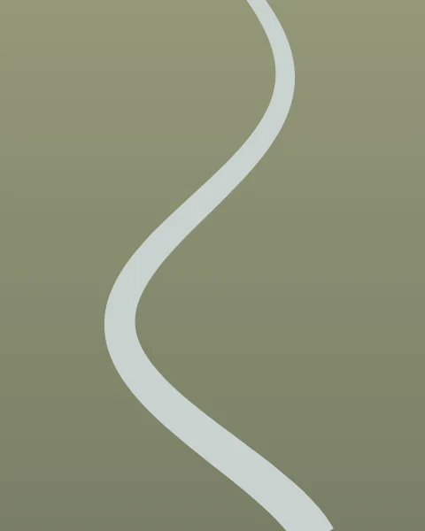 Seen from above, a pale river winds in long, even curves from the top of the sheet to the bottom, through a field of olive green that darkens gently towards the foot.