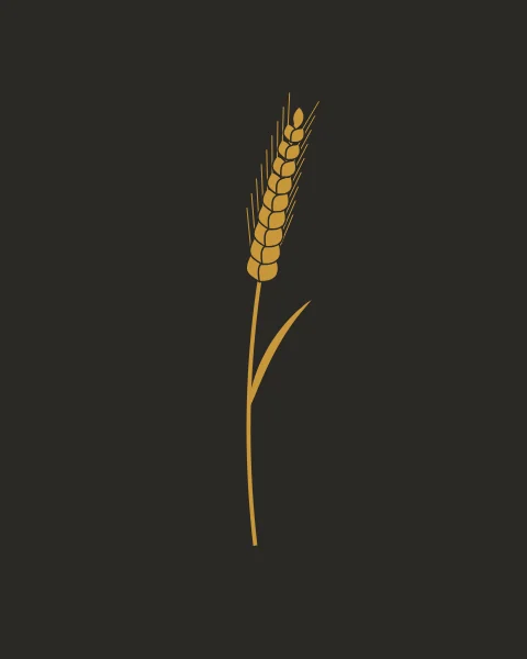 A single ear of wheat in gold, with its paired grains and fine whiskers, rises on a long curved stem on a charcoal ground. One leaf leaves the stem low down.