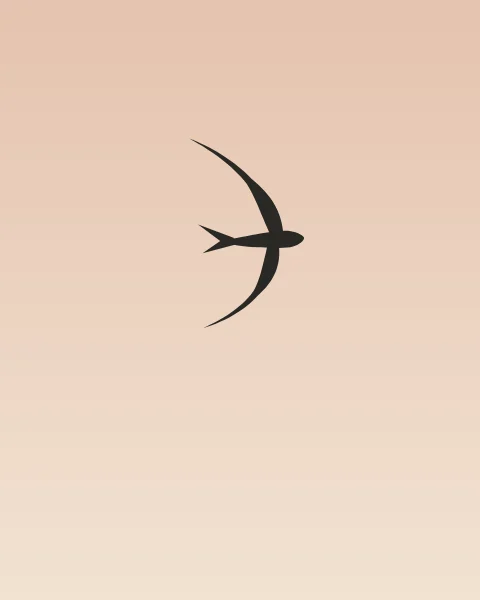 A single swift in charcoal, with long sickle-shaped wings and a forked tail, crosses a pale rose sky.