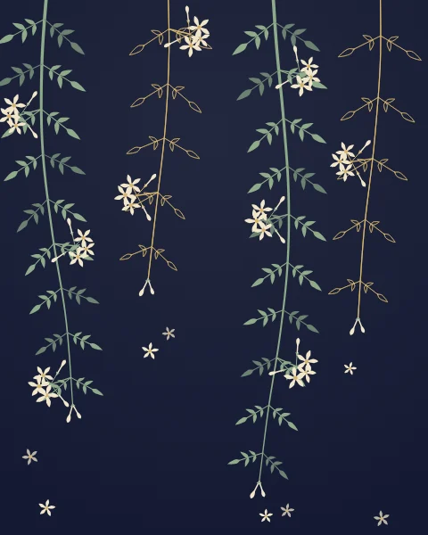 Strands of common jasmine fall from the top of the sheet, pinnate leaves in pairs and star-shaped flowers opening along each stem.