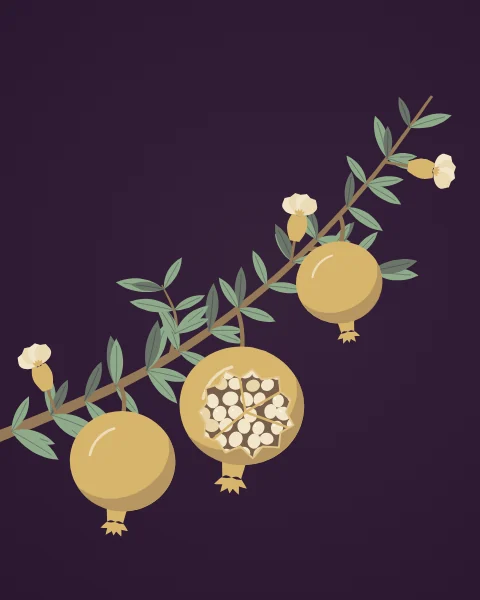 A pomegranate branch carries narrow glossy leaves and a few flowers, with crowned fruit hanging beneath it and one split open to its seeds.