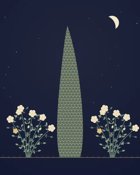 Tall cypresses stand in a row at night with rose bushes in flower at their feet and a crescent moon above.