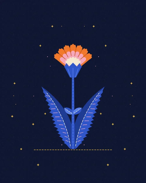 Two long serrated saz leaves sweep up and outward from one root like a lyre, with a single tangerine carnation rising between them.