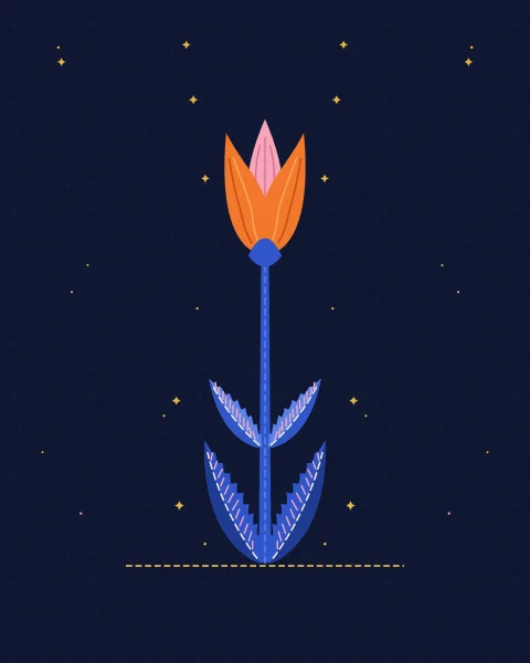 A single tangerine tulip with pink inner petals stands on a tall cobalt stem between serrated saz leaves, alone on a deep blue ground.