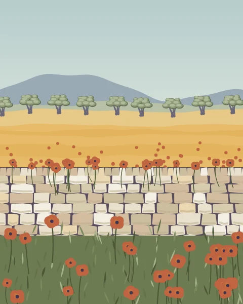 Red poppies grow in front of and along a dry-stone wall, with a golden field and a line of olive trees beyond.