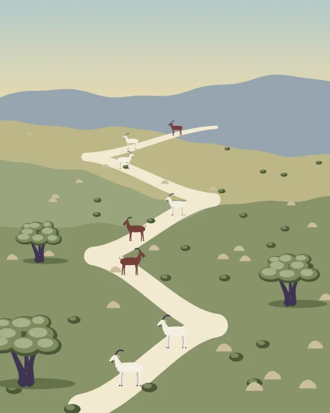 A pale path zigzags down a scrubby hillside, with white and brown horned goats making their way along it between rocks and olive trees.