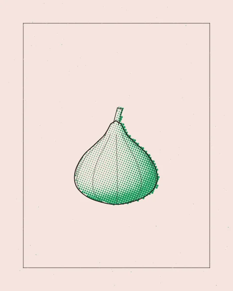 One ripe fig with its short stem, drawn in black over a green halftone, alone in a fine frame on a blush pink sheet.