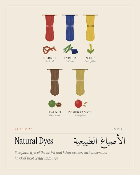 Five hanks of wool hanging from pegs, each with its dye source drawn beneath it: madder red with its roots, indigo blue with a leafy sprig and a cake of dye, weld yellow with its flower spike, walnut brown with a green husk and a split nut, and khaki yellow with a pomegranate and pieces of dried rind.
