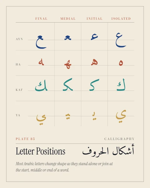 A table of Arabic letters in four columns, isolated, initial, medial and final, read from right to left, with each row a different letter in blue, teal or terracotta on paper. The number of letters grows with the height of the shape.