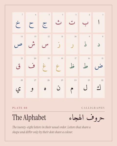 The twenty-eight Arabic letters in their usual order on cream tiles against rose, read from right to left and numbered. Letters that share a shape, such as ba, ta and tha, share a colour.