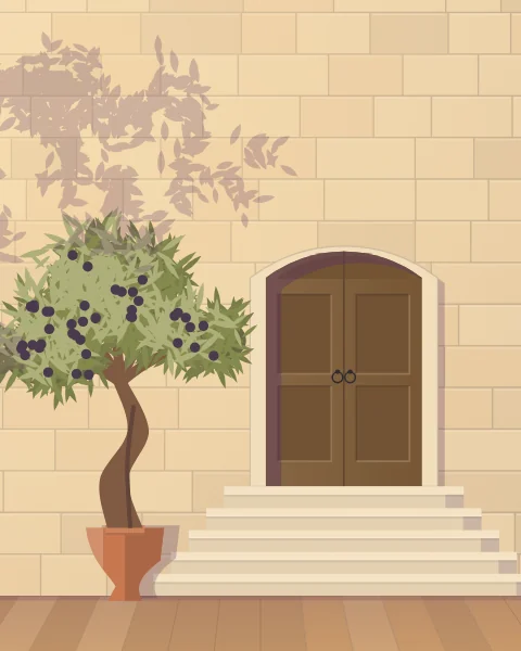 Broad sandstone steps rising to a doorway, an old olive tree in a stone urn beside them and its silvery shade spread over the wall.